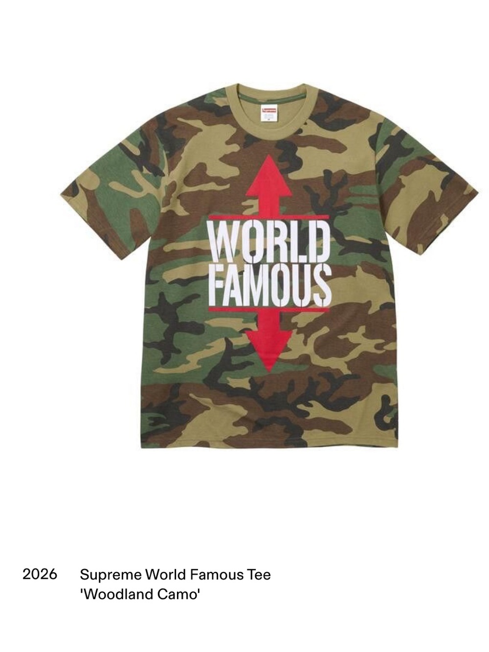 2026 Supreme 'World Famous' Woodland Camo Tee - Green/Red - SS26T31